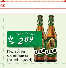 Piwo Żubr promocja w CEZAR Delikatesy