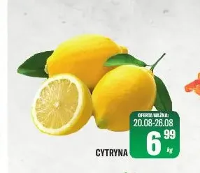 Cytryna promocja w Tomi Markt