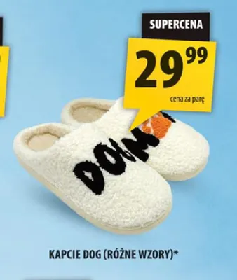 Kapcie Dog promocja w Arhelan