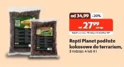 Podłoże kokosowe do terrarium - cena od: promocja w KAKADU