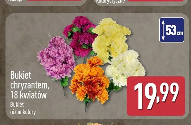 Bukiet chryzantem 18 kwiatów promocja w Aldi