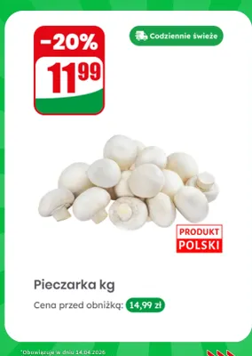 Pieczarka kg promocja w Dino