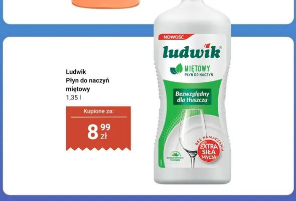 Płyn do naczyń miętowy Ludwik promocja w Dino