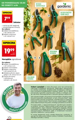 Narzędzia ogrodowe sekator nożycowy promocja w Biedronka