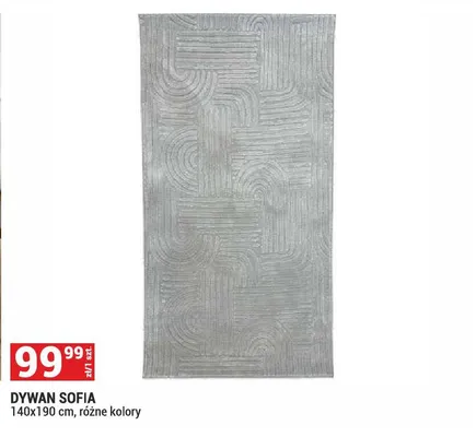 Dywan Sofia 140x190cm promocja w Merkury Market