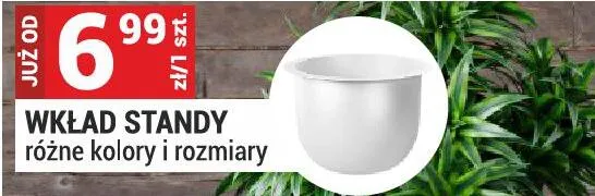 Wkład standy różne kolory i rozmiary promocja w Merkury Market