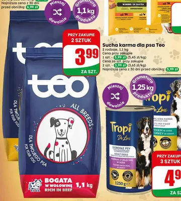 Sucha karma dla psa teo 1,1kg promocja w Dino