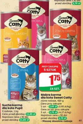 Mokra karma dla kota różne rodzaje promocja w Dino