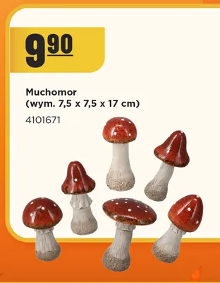 Muchomor 7,5x7,5x17 cm promocja w MR. DIY