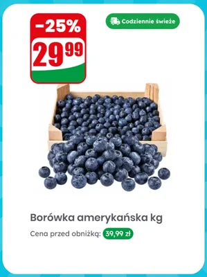 Borówka amerykańska promocja w Dino