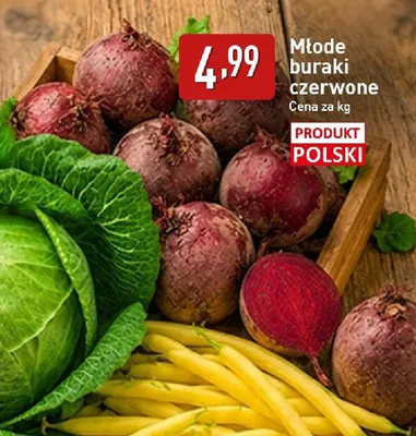 Buraki czerwone młode polskie promocja w Aldi