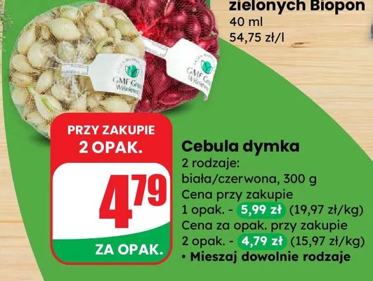 Cebula dymka 2 rodzaje: biała/czerwona promocja w Dino