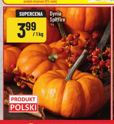 Dynia Spitfire promocja w POLOmarket