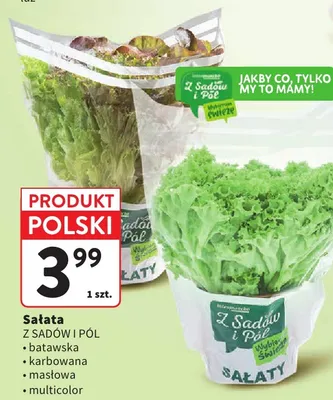 Sałata multicolor Z Sadów i Pól promocja w Intermarche
