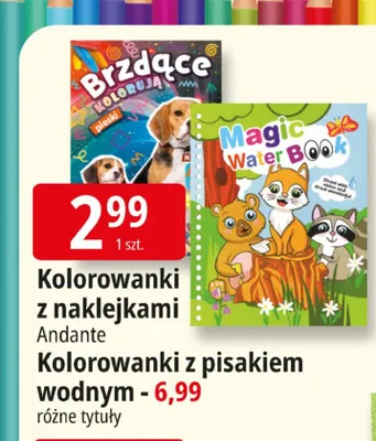 Kolorowanki z pisakiem wodnym Andante promocja w Leclerc