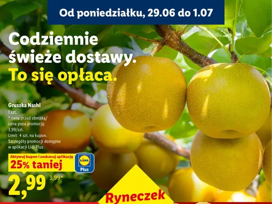 Gruszka Nashi promocja w Lidl