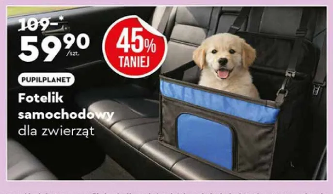 Fotelik samochodowy dla zwierząt promocja w Biedronka