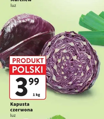 Kapusta czerwona luz polska promocja w Intermarche