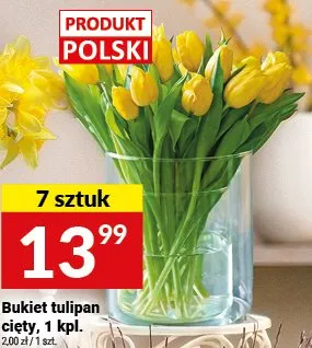 Bukiet tulipan cięty promocja w Twój Market