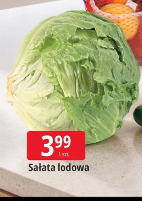 Sałata lodowa promocja w Leclerc