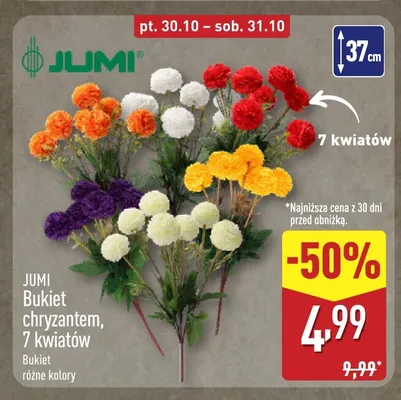 Bukiet chryzantem 7 kwiatów 37 cm Jumi promocja w Aldi