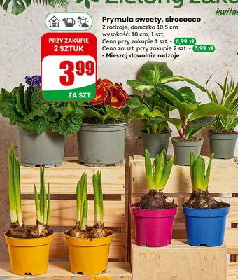 Gazetka 06 / 2026, strona 58 promocja w Dino