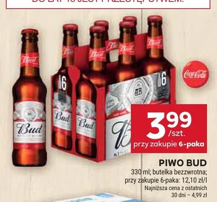 Piwo Bud promocja w Stokrotka