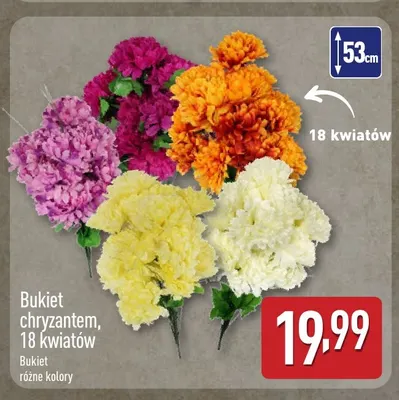 Bukiet chryzantem 18 kwiatów promocja w Aldi