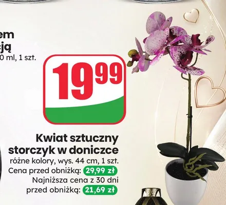 Kwiat sztuczny storczyk w doniczce promocja w Dino