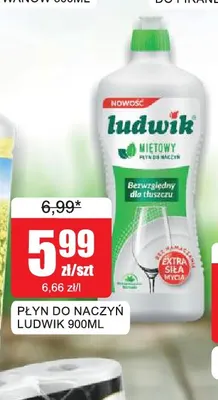 Płyn do naczyń Ludwik promocja w Bingo