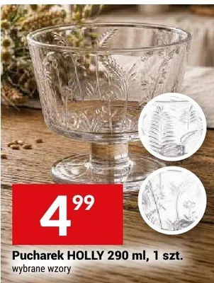 Pucharek HOLLY 290ml wybrane wzory promocja w Twój Market
