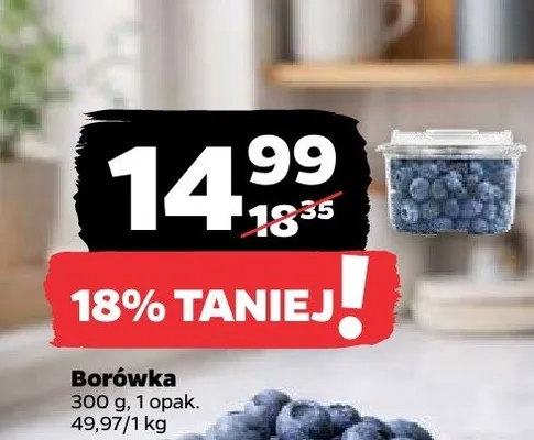 Borówka promocja w Netto
