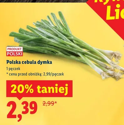 Cebula dymka Lidl promocja w Lidl