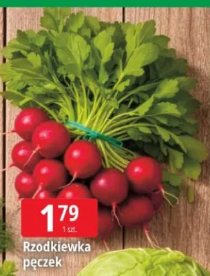 Rzodkiewka pęczek promocja w Leclerc