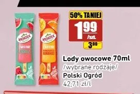 Lody owocowe arbuz Hortex promocja w API Market