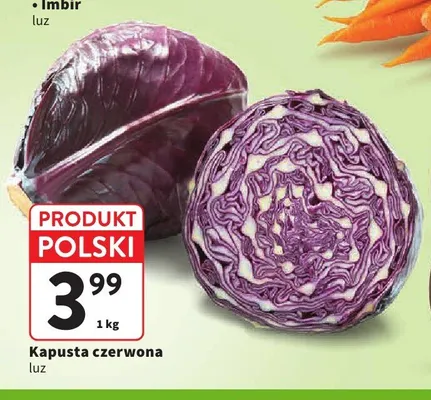 Kapusta czerwona polska promocja w Intermarche