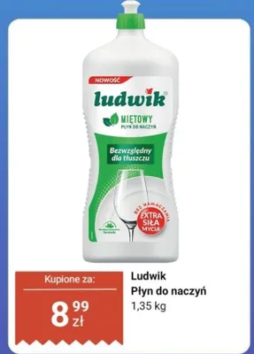 Płyn do naczyń promocja w Dino