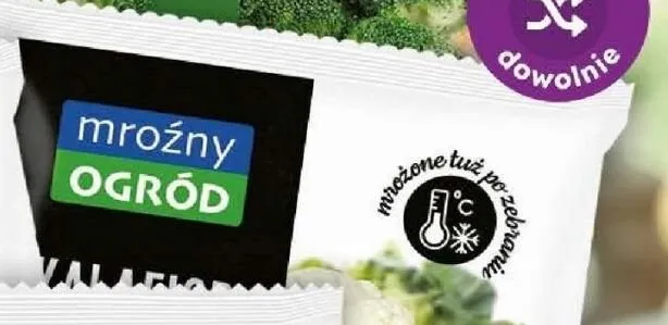 Kalafior mroźny OGRÓD promocja w Dino