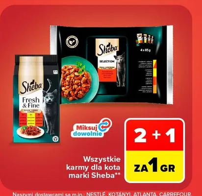 Karma dla kota Sheba Selection 4-pak promocja w Carrefour