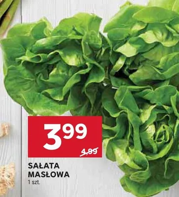 Sałata masłowa promocja w Stokrotka