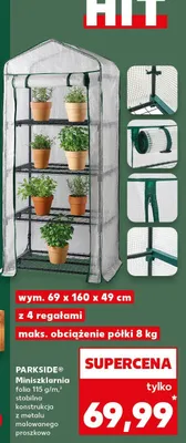 Miniszklarnia promocja w Kaufland