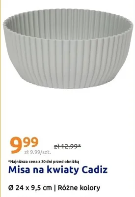 Misa na kwiaty Cadiz promocja w Action