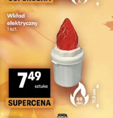 Wkład elektryczny promocja w Delikatesy Centrum
