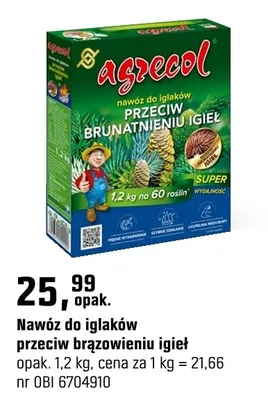 Nawóz do iglaków przeciw brązowieniu igieł promocja w OBI