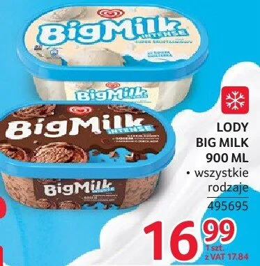 Lody Big Milk wszystkie rodzaje 495695 promocja w Selgros