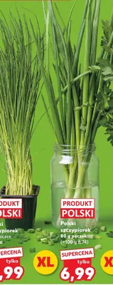 Szczypiorek polski promocja w Kaufland