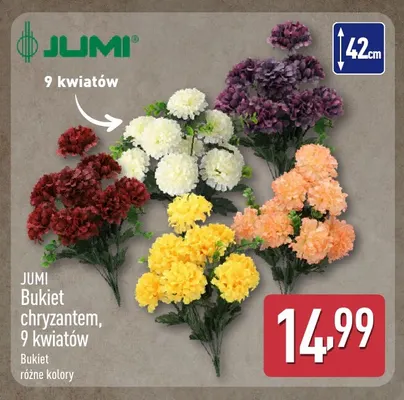 Bukiet chryzantem 9 kwiatów Jumi promocja w Aldi