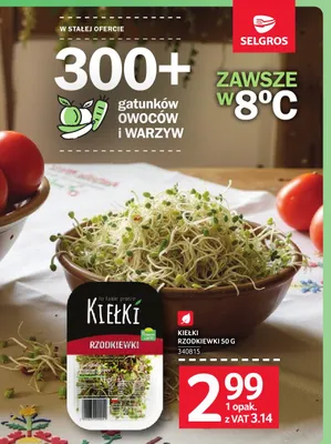 Kiełki rzodkiewki promocja w Selgros