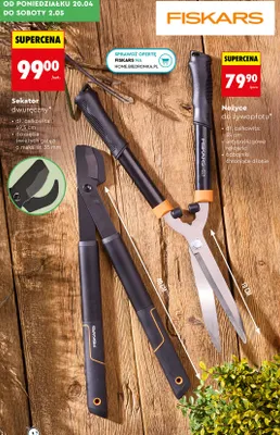 Nożyce do żywopłotu promocja w Biedronka