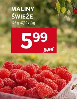 Maliny świeże promocja w Stokrotka